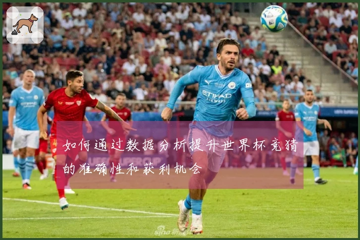 如何通过数据分析提升世界杯竞猜的准确性和获利机会