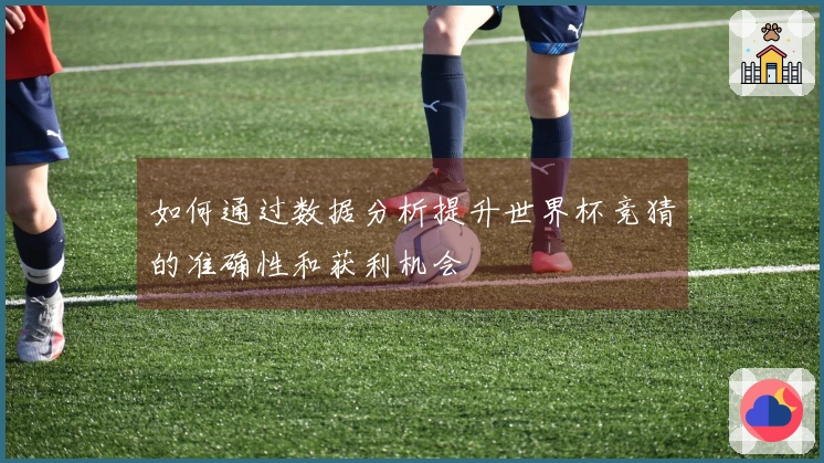 如何通过数据分析提升世界杯竞猜的准确性和获利机会