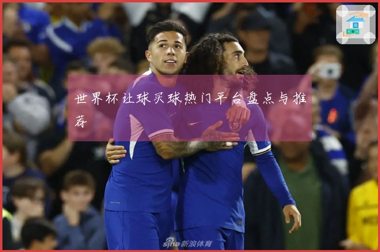 世界杯让球买球热门平台盘点与推荐