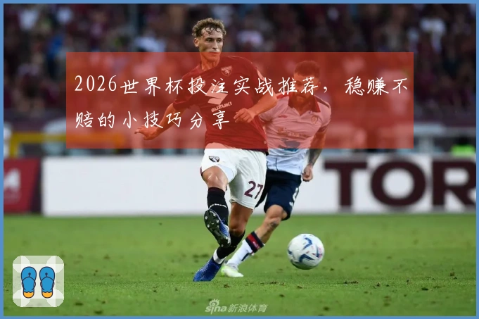 2026世界杯投注实战推荐，稳赚不赔的小技巧分享