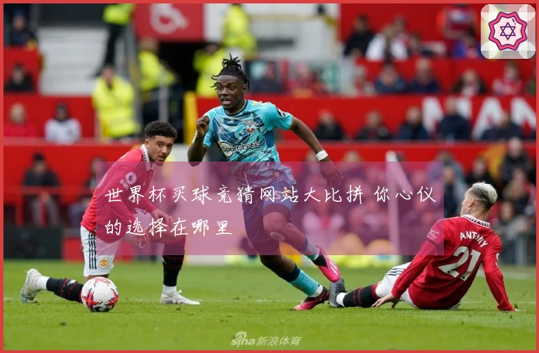 世界杯买球竞猜网站大比拼 你心仪的选择在哪里