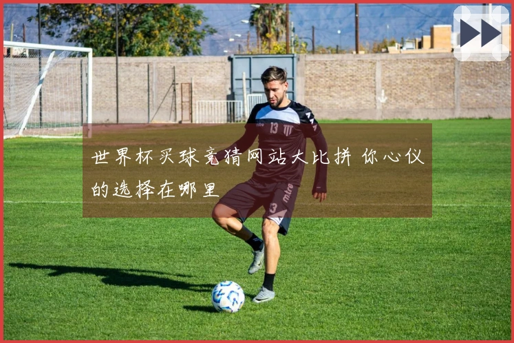 世界杯买球竞猜网站大比拼 你心仪的选择在哪里