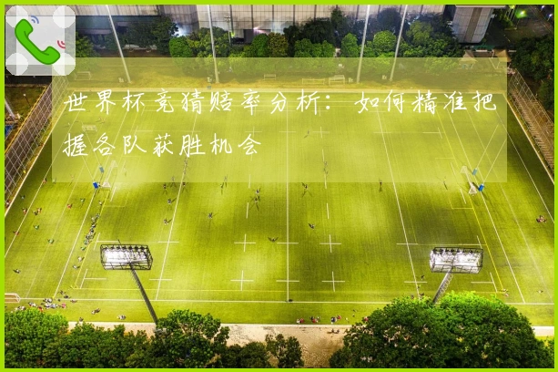 世界杯竞猜赔率分析：如何精准把握各队获胜机会