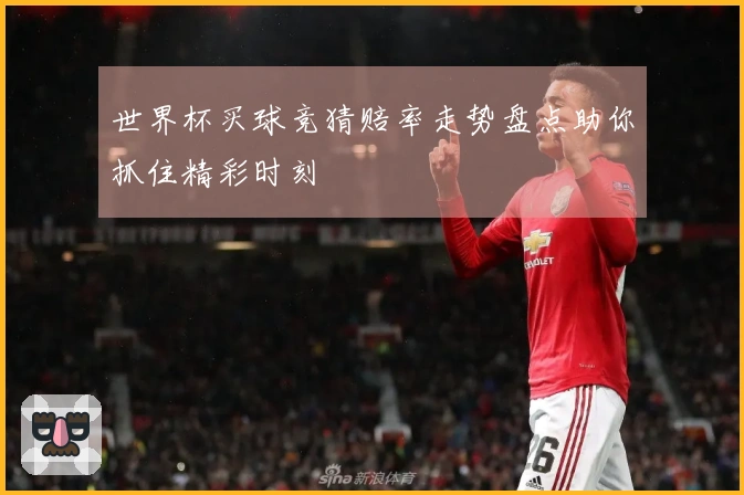 世界杯买球竞猜赔率走势盘点助你抓住精彩时刻