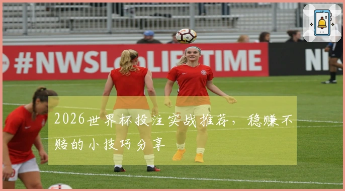 2026世界杯投注实战推荐，稳赚不赔的小技巧分享