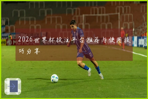 2026世界杯投注平台推荐与使用技巧分享