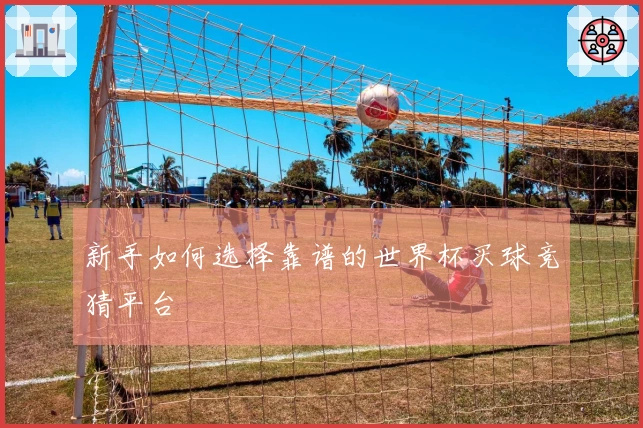 新手如何选择靠谱的世界杯买球竞猜平台