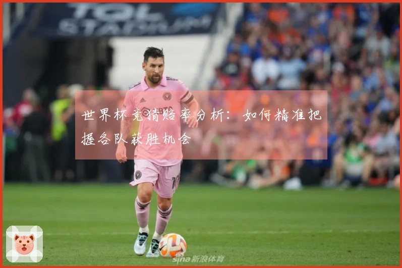 世界杯竞猜赔率分析：如何精准把握各队获胜机会